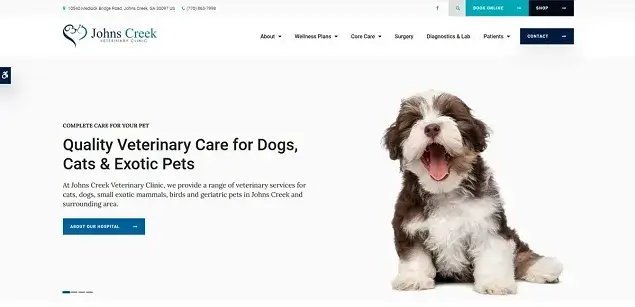 Johns Creek Veterinary Clinic