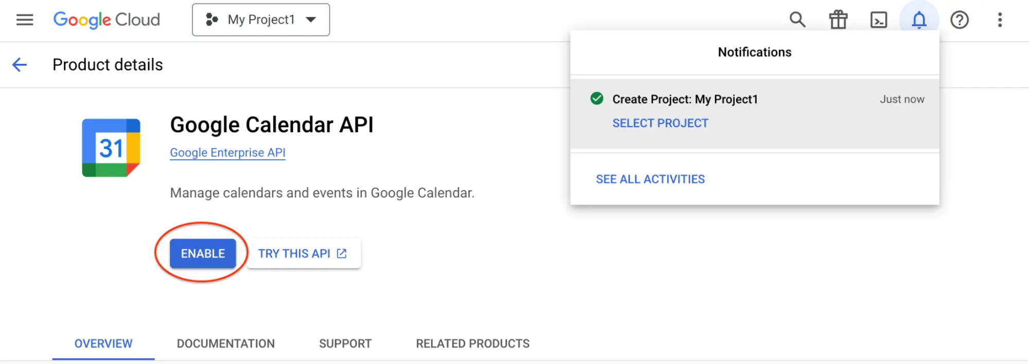 Google calendar api