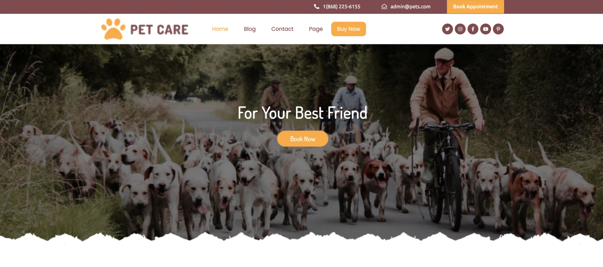 Pet Animal Care WordPress Theme