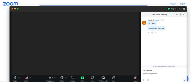 Zoom Chat Test